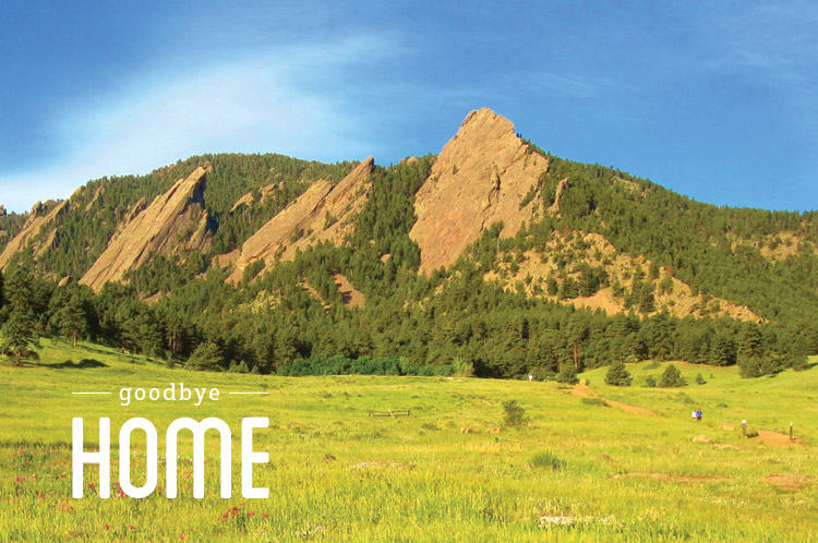 Home