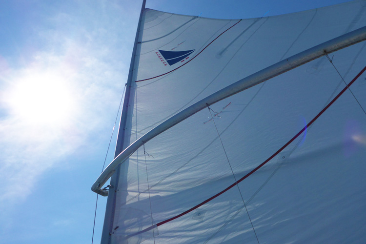 Sailing Fun With Clyde