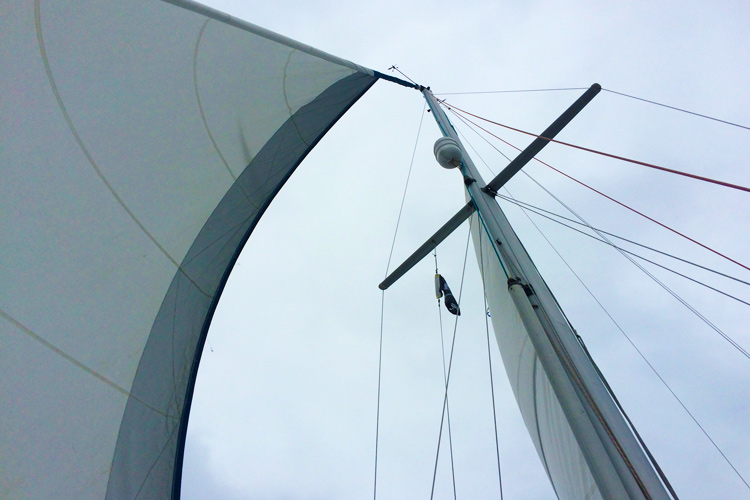 Bosco Can Sail!