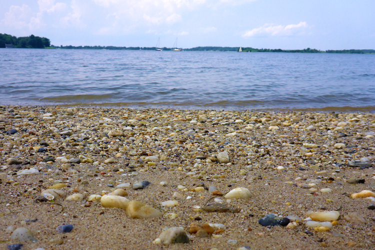 Beach Days