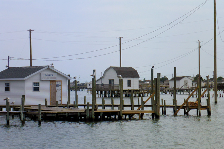 Welcome to Virginia...Tangier Island!