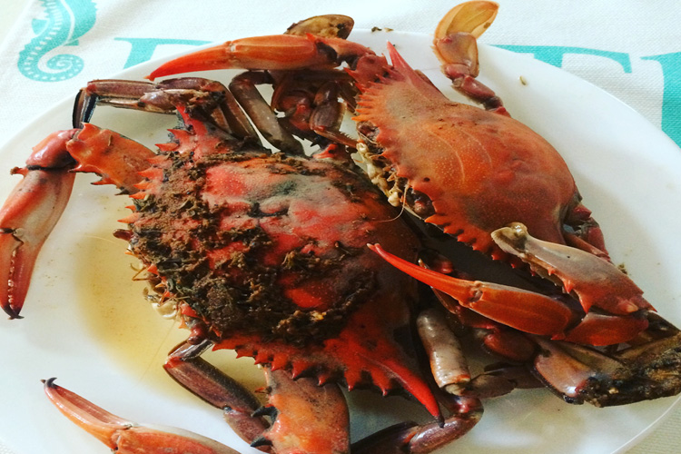 Got Crabs?