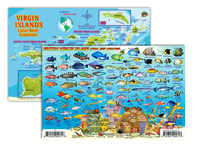 Scuba diving card