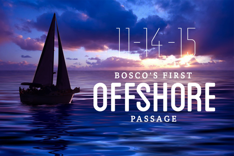 The Next Big Voyage