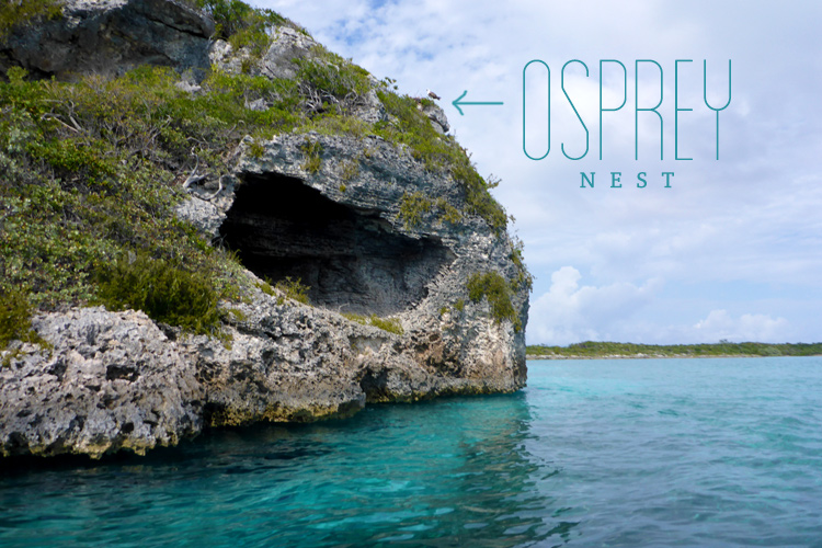 All Squared Away In Exuma Bay