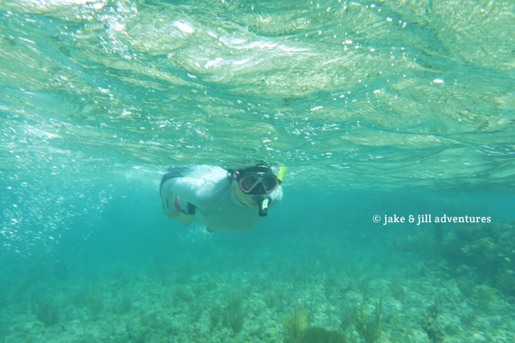 Underwater in the Abacos