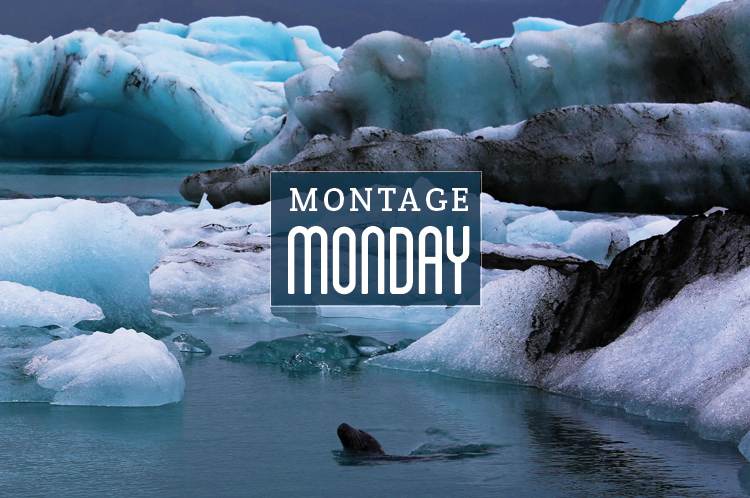 Montage Monday: Dec 26, 2016
