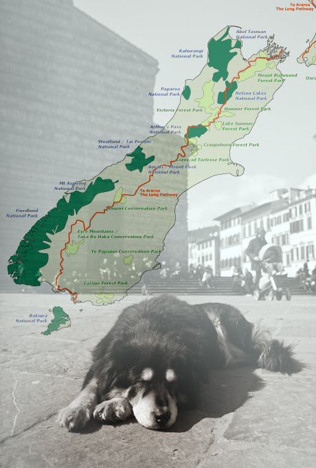 Te Araroa Trail