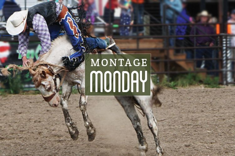 Montage Monday Montanimals