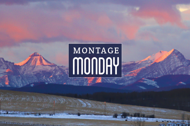 Montage Monday Canadian Style: Jan 28, 2019