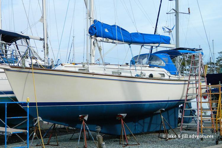 Bosco Boat Update